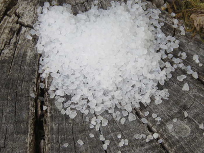 Salt in Pomo Indian history